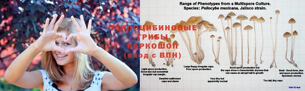 мдма Сафоново
