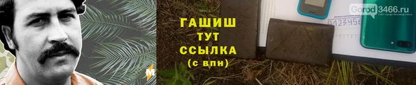 гидропоника Алзамай