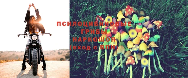хмурый Саяногорск