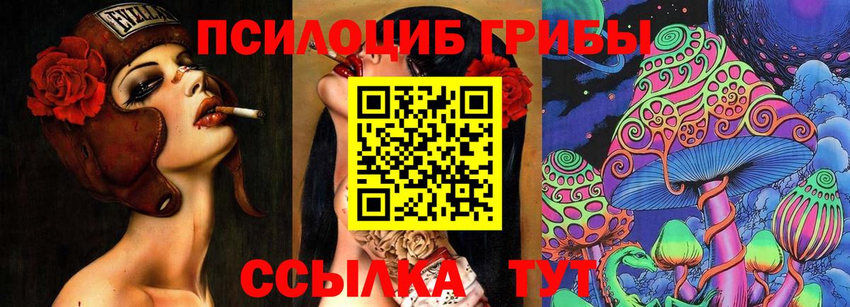 как найти закладки  Вход с VPN  Псилоцибиновые грибы Psilocybe  Апшеронск  Псилоцибиновые грибы прущие грибы 