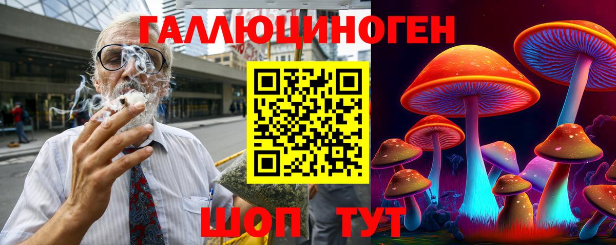 Галлюциногенные грибы Psilocybe Апшеронск